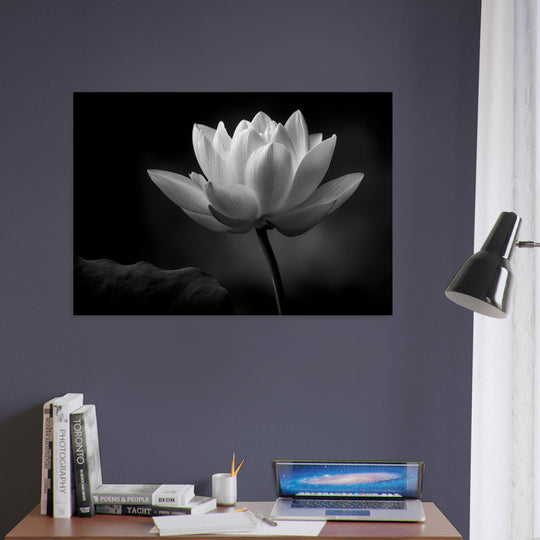 2dd8c5a4-5ece-4d2f-a622-2e878a7c6dab