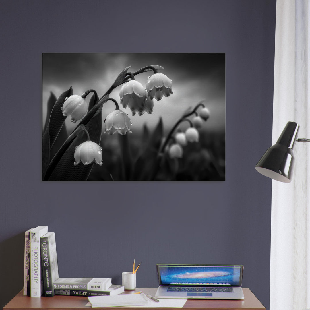 2de6957f-8c53-4728-8ad8-46ef07fc2ab2