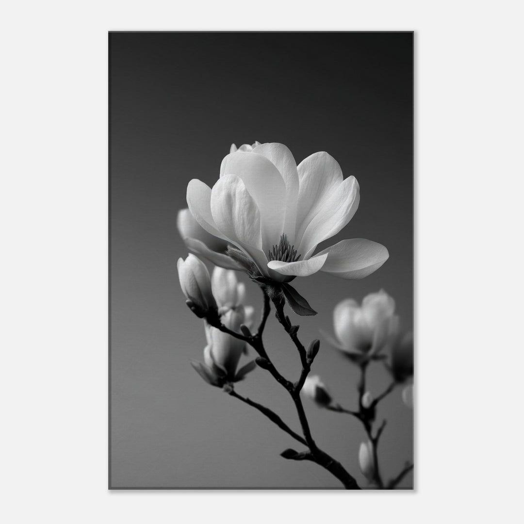 2dfde32a-97c2-435e-ad55-4d07d575fee3