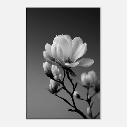 2dfde32a-97c2-435e-ad55-4d07d575fee3