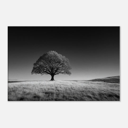 2e499101-ce7f-4e3c-baf0-1ada454277f5