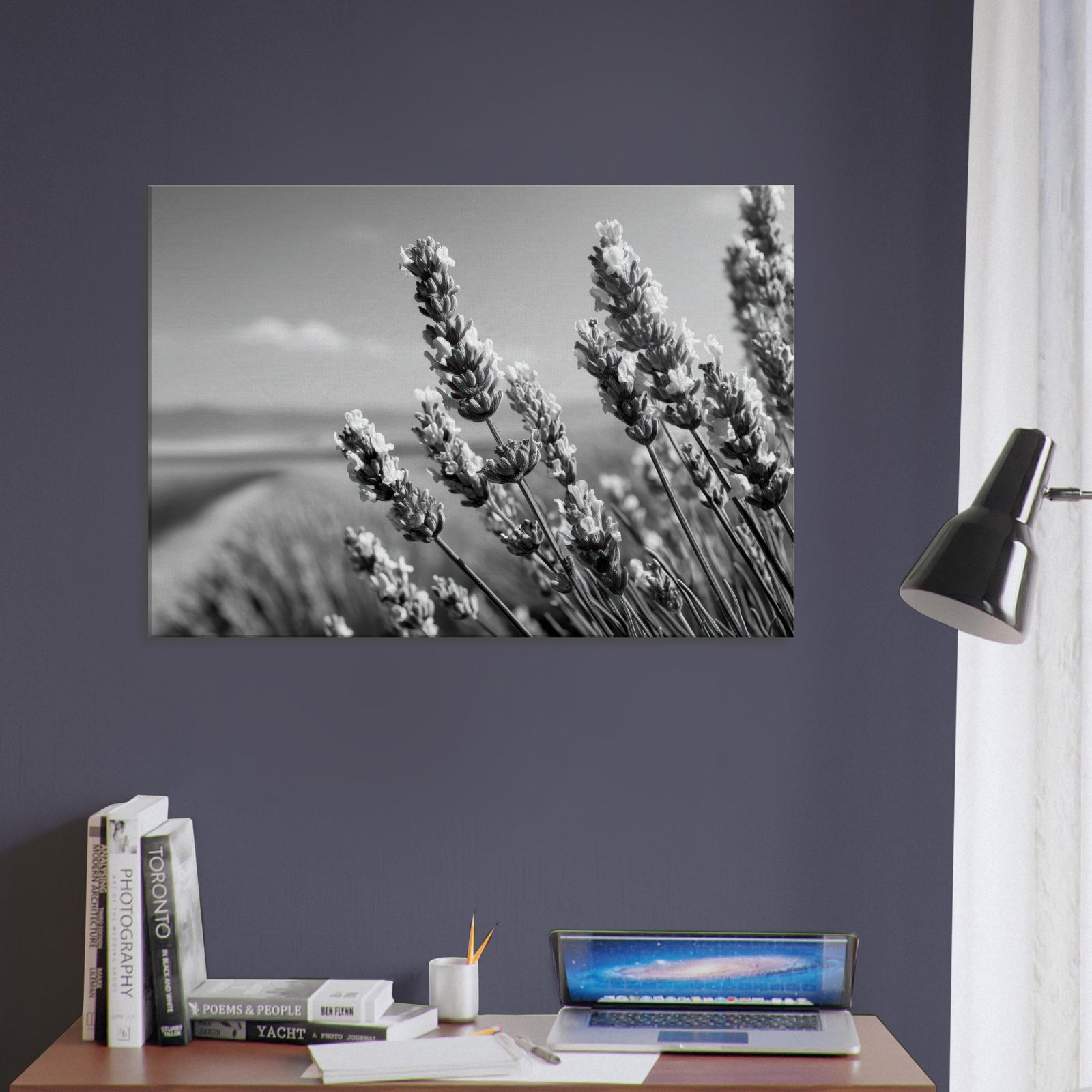 2edc221c-6a1a-4c88-bced-48a4a69fe29b