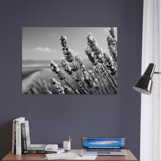 2edc221c-6a1a-4c88-bced-48a4a69fe29b