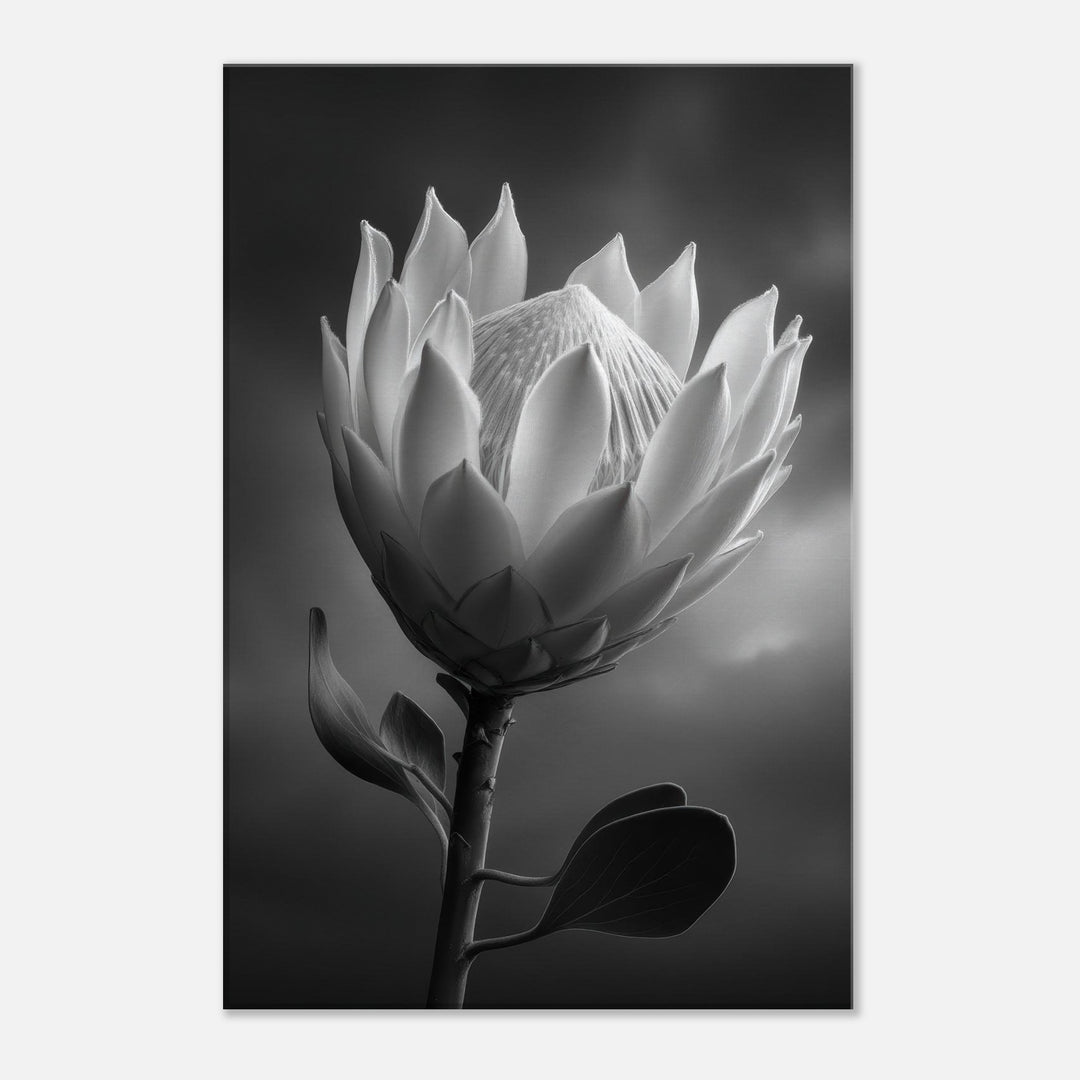 2f666b94-60bf-4d73-8f7d-dfdbf3d0a6a6