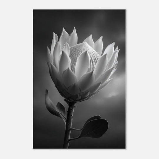 2f666b94-60bf-4d73-8f7d-dfdbf3d0a6a6