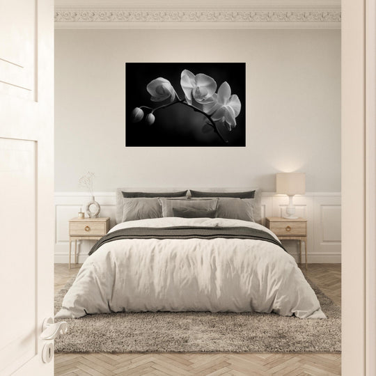 2f751a63-6ae0-4e57-a9d1-c02ca8faf1cb