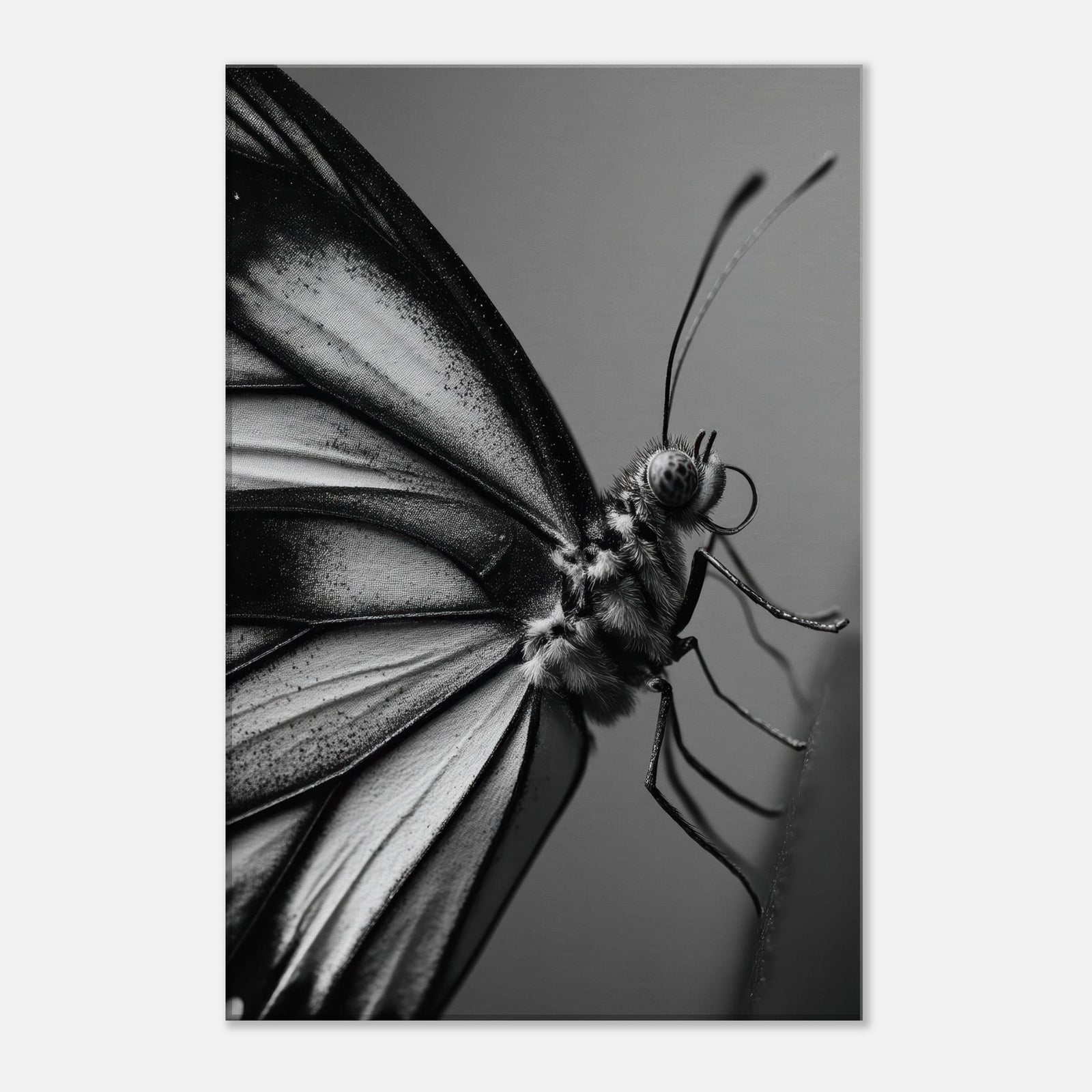 2f865696-32ca-43e7-acca-8050fe4dc9d6