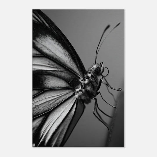 2f865696-32ca-43e7-acca-8050fe4dc9d6