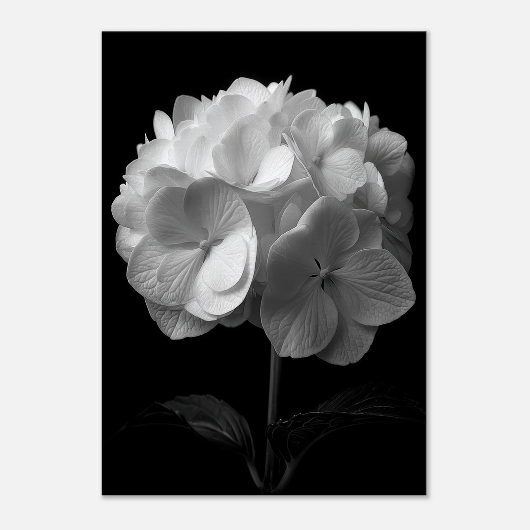 301b8569-c680-4be5-94ad-6cb955a7b002