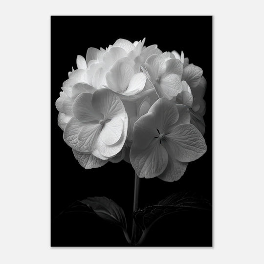 301b8569-c680-4be5-94ad-6cb955a7b002