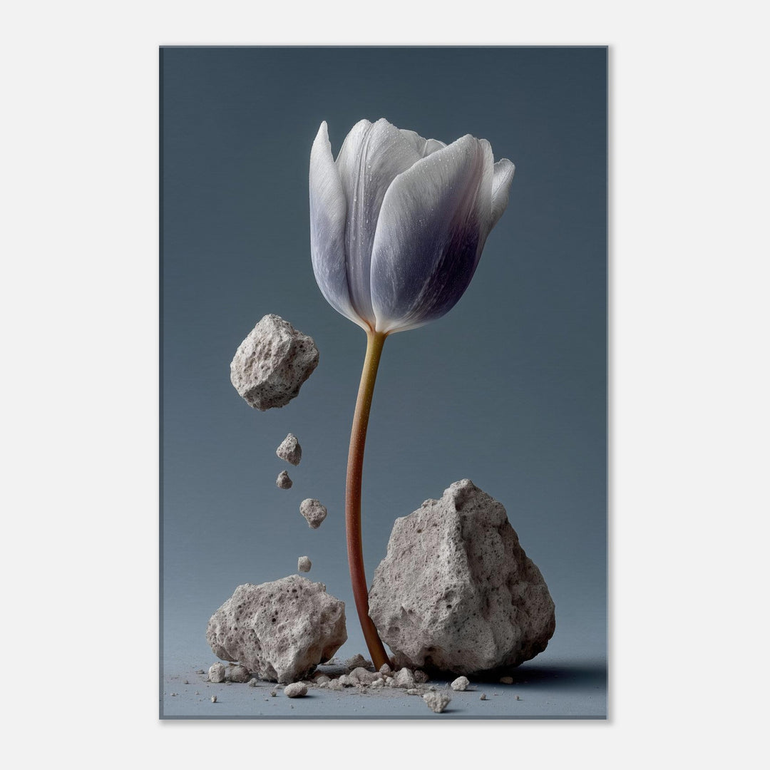 30262df4-f4c7-4f39-9369-1248d4505b4b