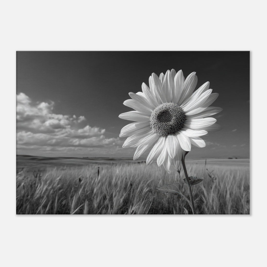 305760a7-5e2e-4be0-96b3-2fe858a7ba9b