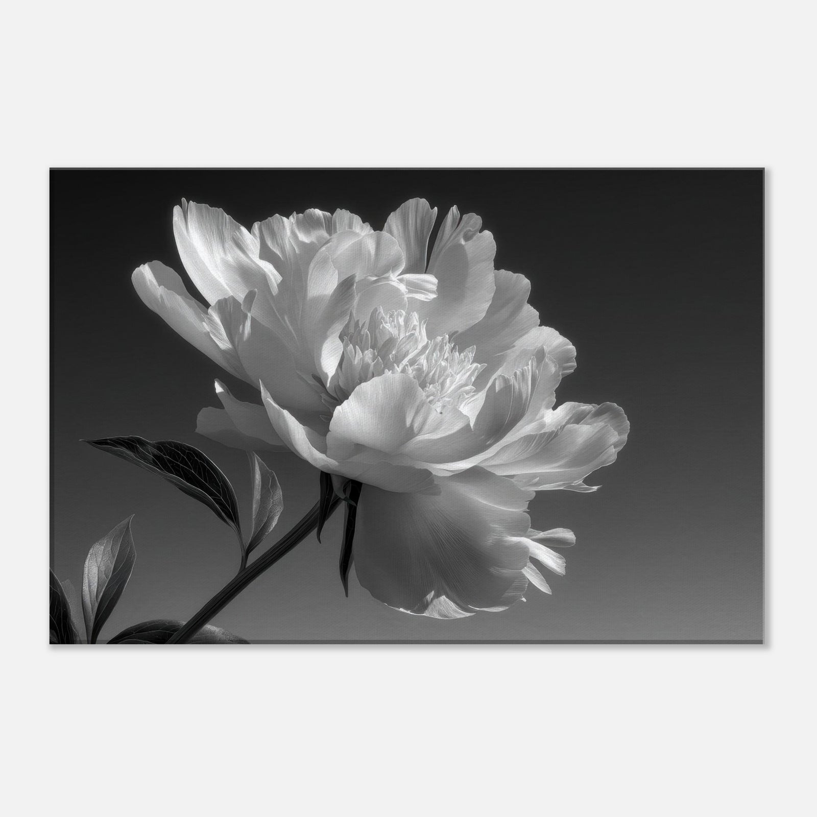 30857fa2-1aec-44e4-8728-ba3a14987f93