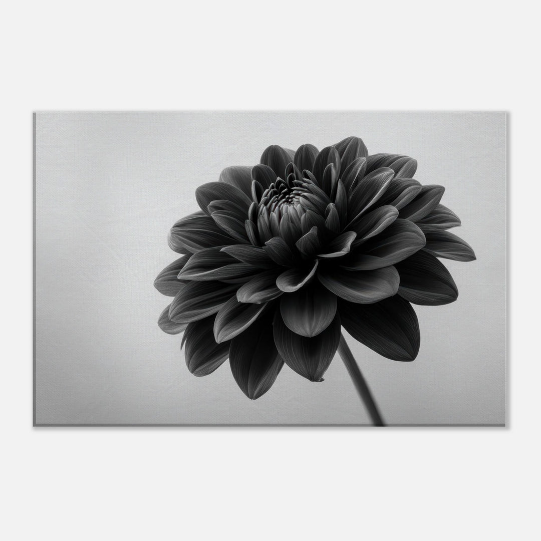 32aa4fe2-afa5-44dd-8274-8cda2b017346