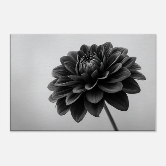 32aa4fe2-afa5-44dd-8274-8cda2b017346