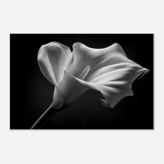 32ec3bd5-7446-4f5b-b325-bdf1bf936cc5