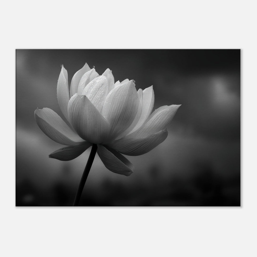 338fbe6b-d34f-4ed1-b552-ba13d98800ec