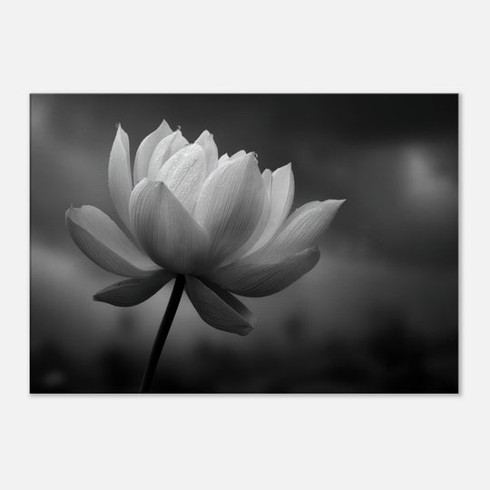 338fbe6b-d34f-4ed1-b552-ba13d98800ec