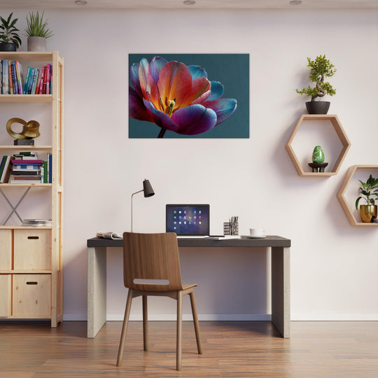 33901a8e-cb0d-4ff4-99fa-14709bdbd71a