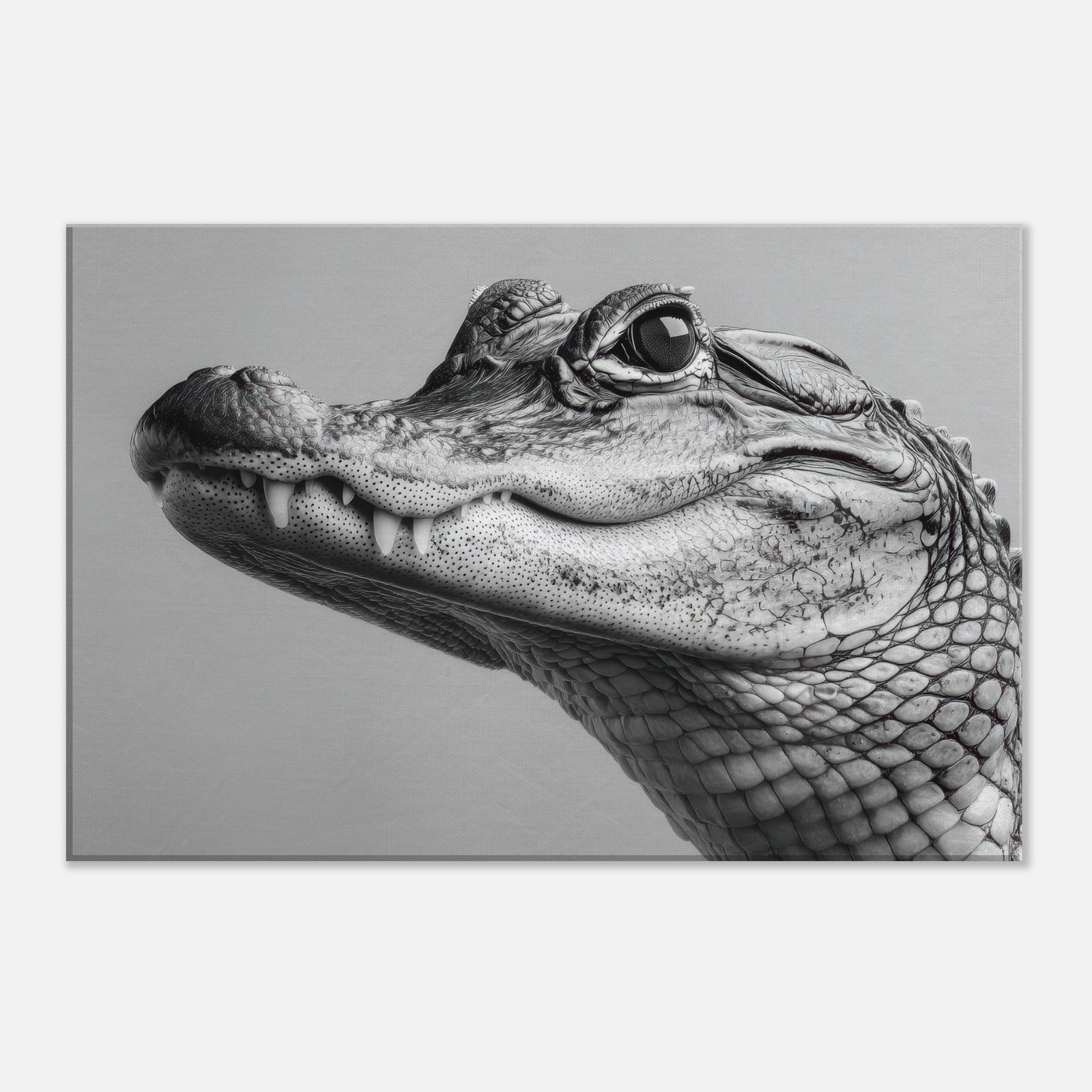 33e34a21-6dba-46df-8a70-baaf98b48d66