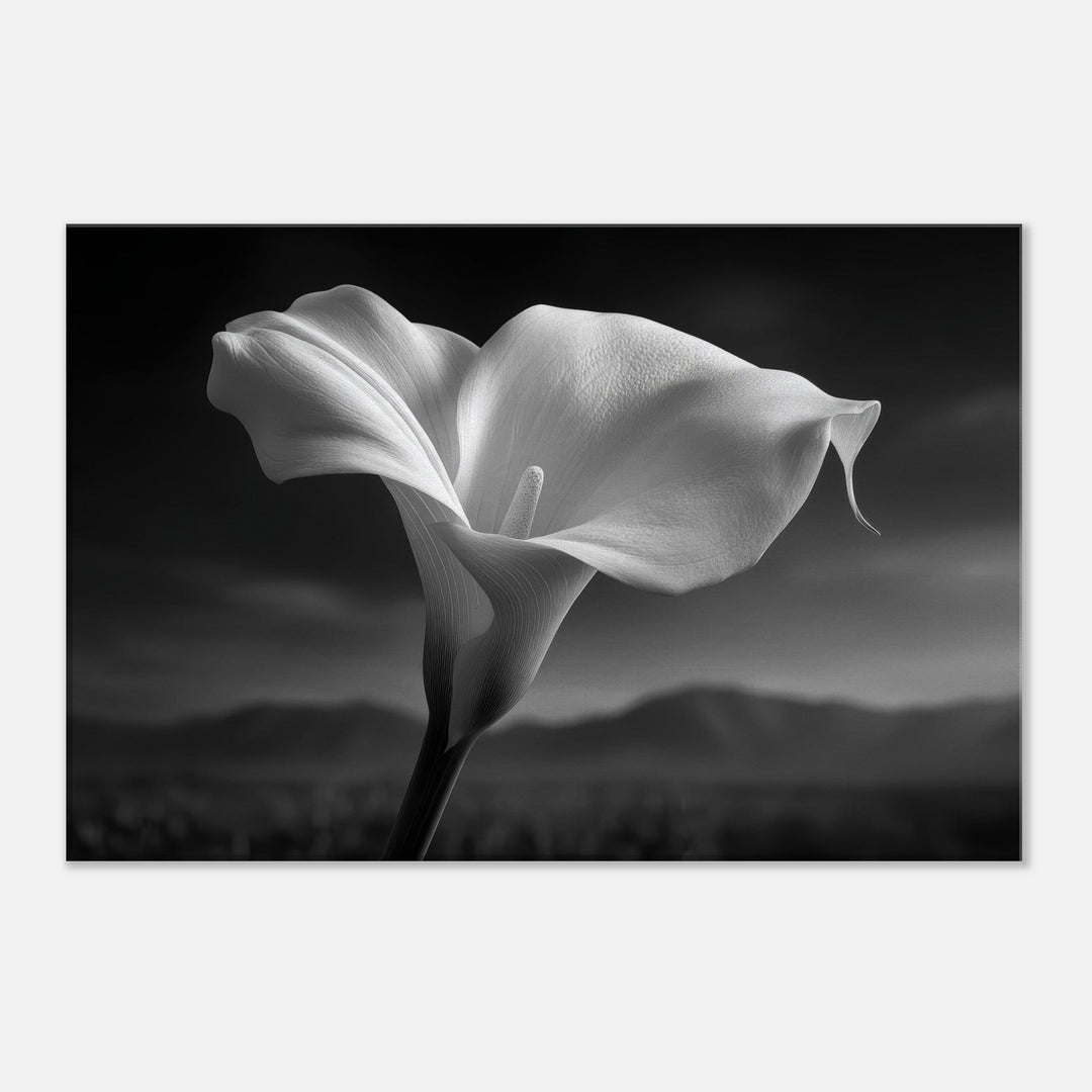 347bacc2-66df-45e7-b939-f6ddd6743500