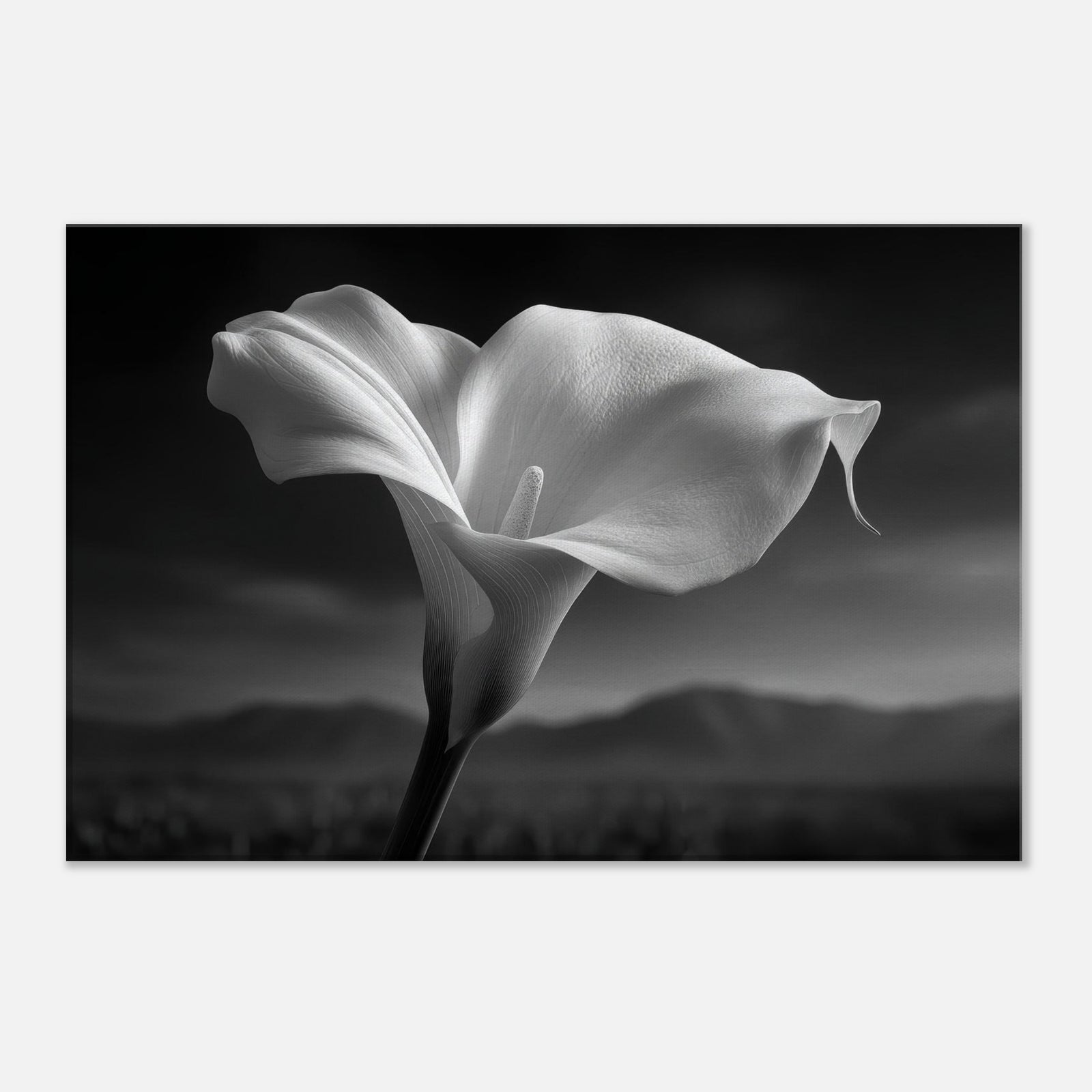 347bacc2-66df-45e7-b939-f6ddd6743500