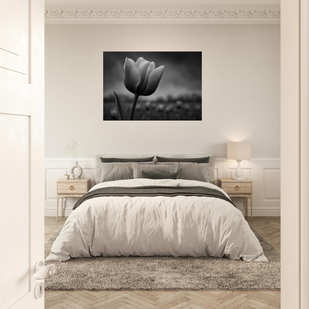 34947317-2986-4f2e-bf9a-d38cad9149b5