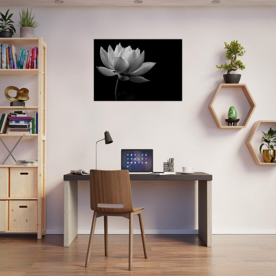 34d71940-863d-4567-bcb9-e3e9ac7ceb54