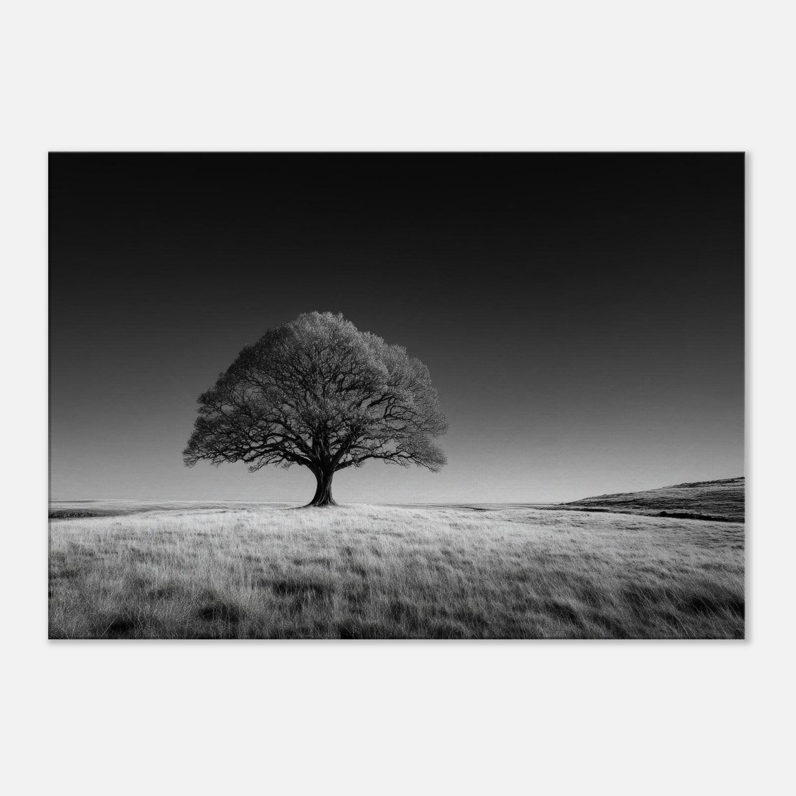 34e68563-c898-4f2e-a492-0fa787542175