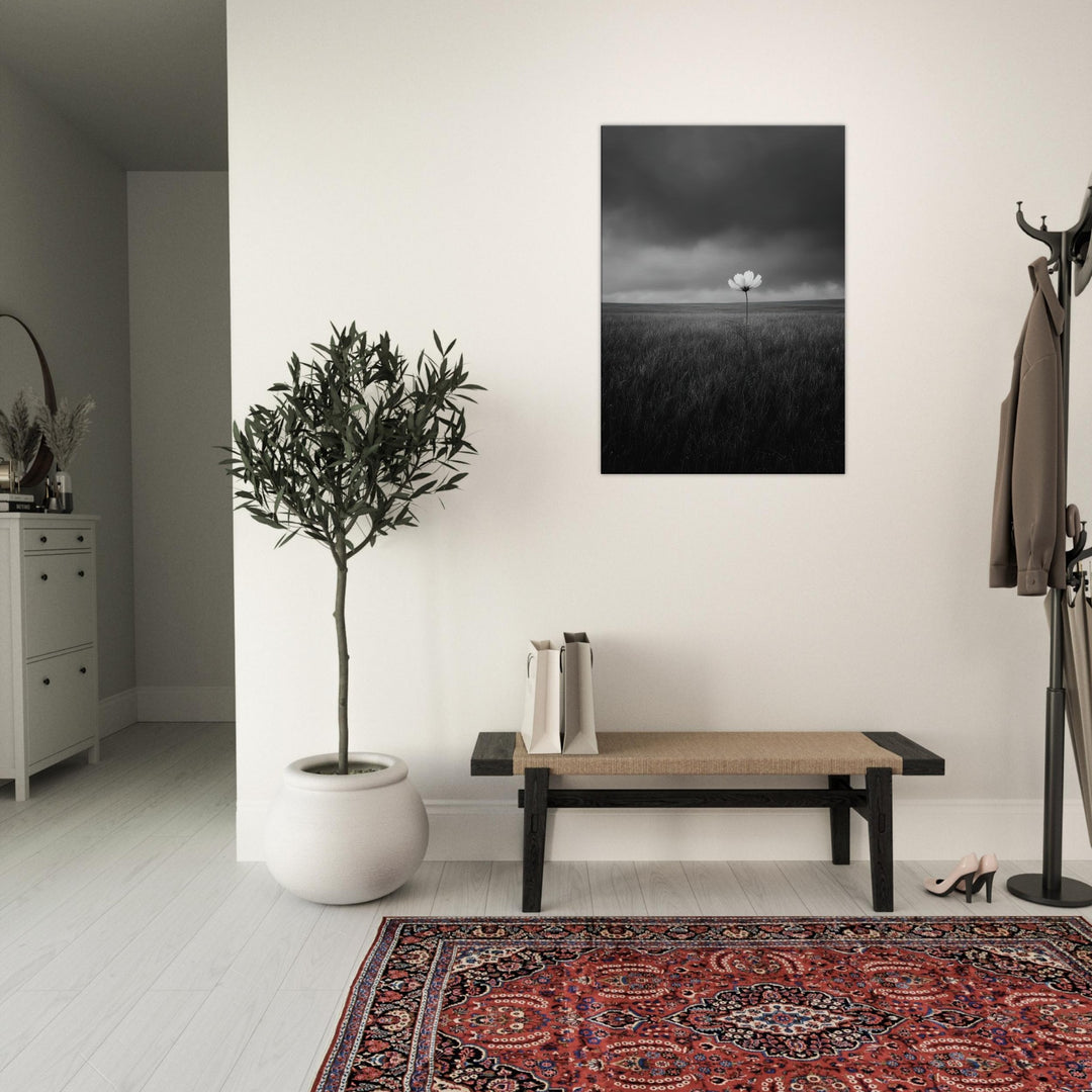 351d8cdc-fa72-4c5a-a55d-9365ebf25fda