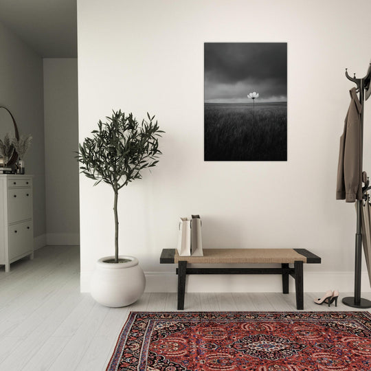 351d8cdc-fa72-4c5a-a55d-9365ebf25fda