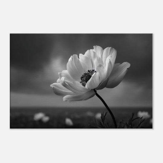 35677599-5b0d-4647-a556-a183692907aa