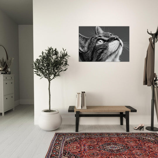 357b1d6b-1550-40af-a3eb-5e58ed4d6a6e