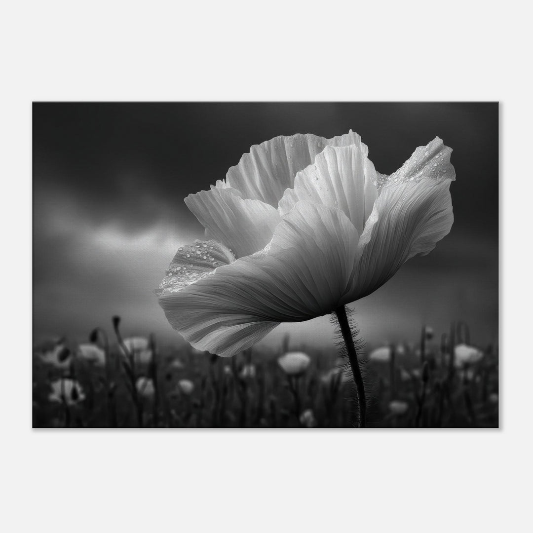 35b7bfa3-fff5-4907-b0c0-0b81fc076a7f