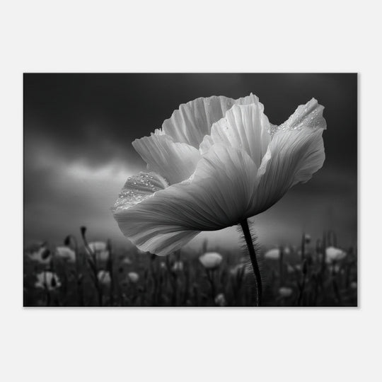 35b7bfa3-fff5-4907-b0c0-0b81fc076a7f