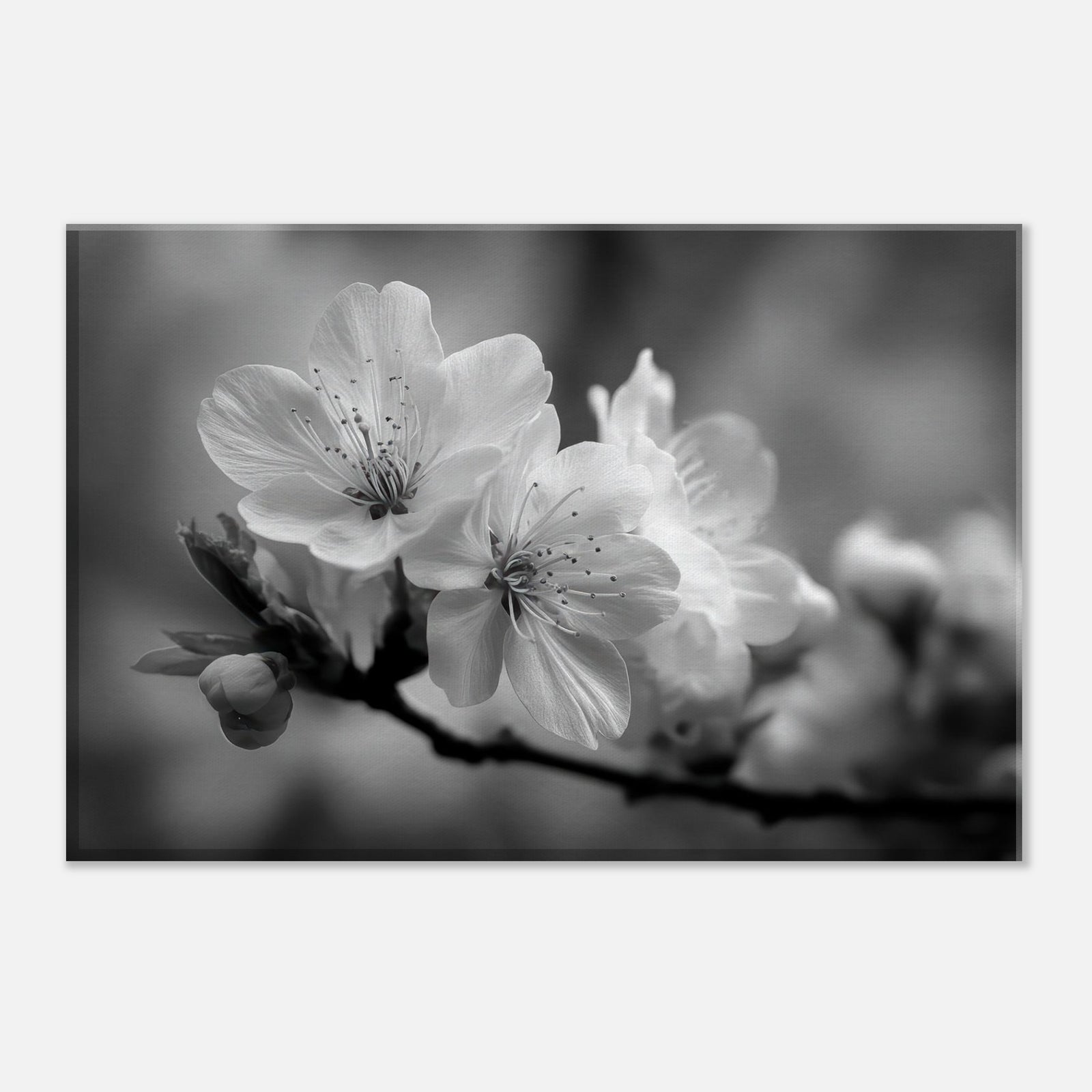 364632d1-097c-41ef-bbb0-24ea1bcc7c7e