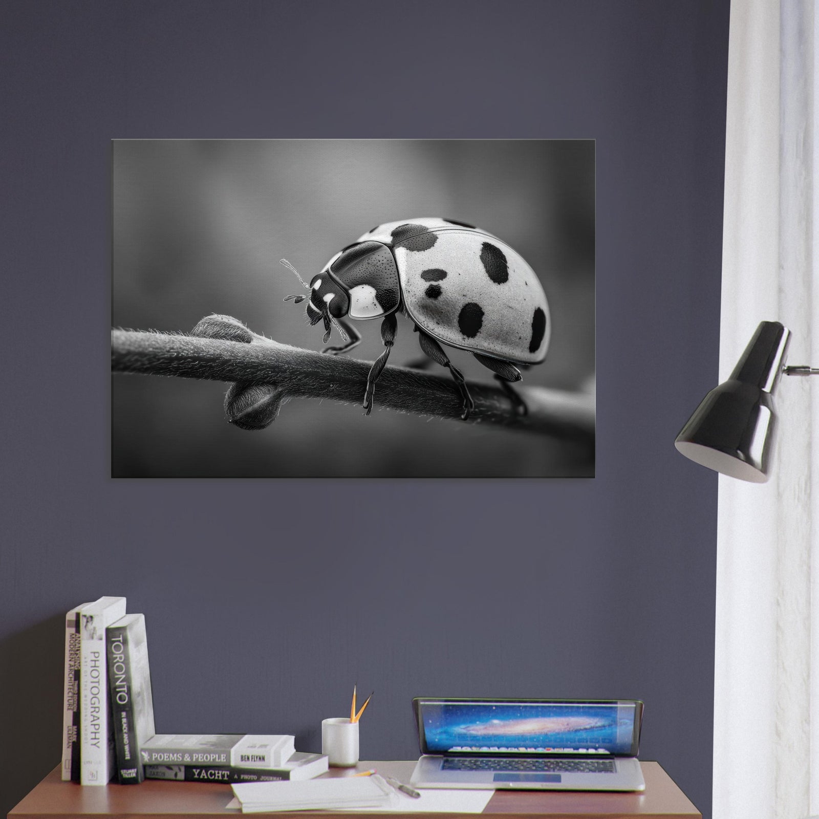 3688f7fe-b566-4666-a9aa-0858ba34af9a