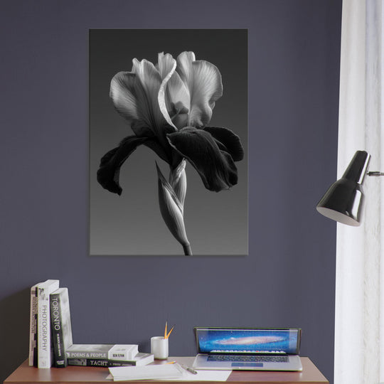 36986a97-e516-47f3-878c-f86693ff0790