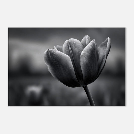 36a800eb-bbbb-42b5-b4c4-9e7d5d6a6699