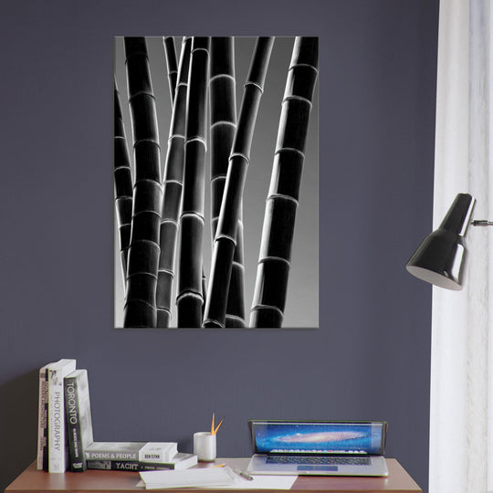 36e85a5d-ec7b-4a7e-9c33-2adce7918ee3