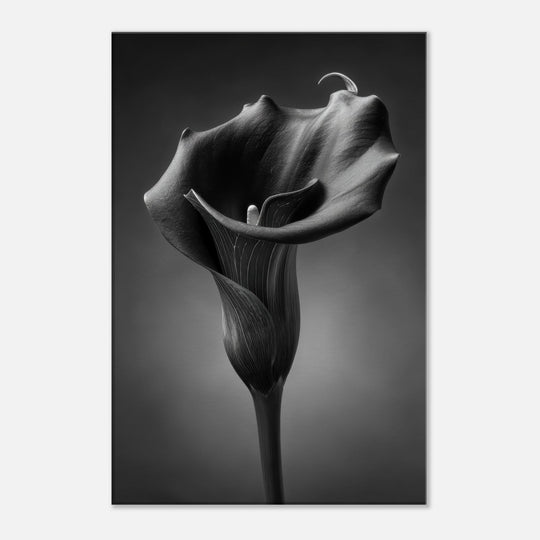 374b752b-2f75-4490-b6bc-0effa2533c2a