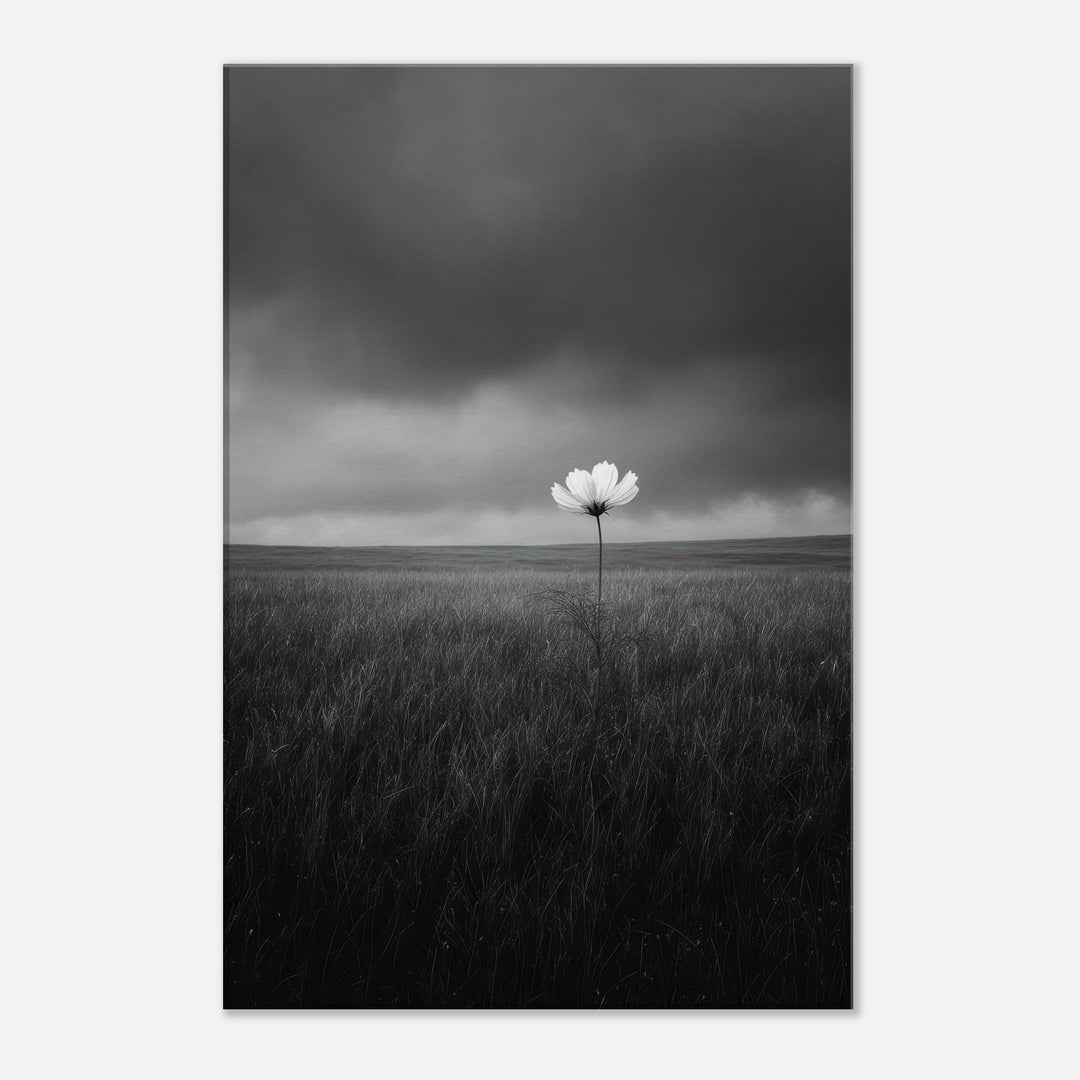 376dbbf0-f2f3-4768-ae2f-512cf3a10da3