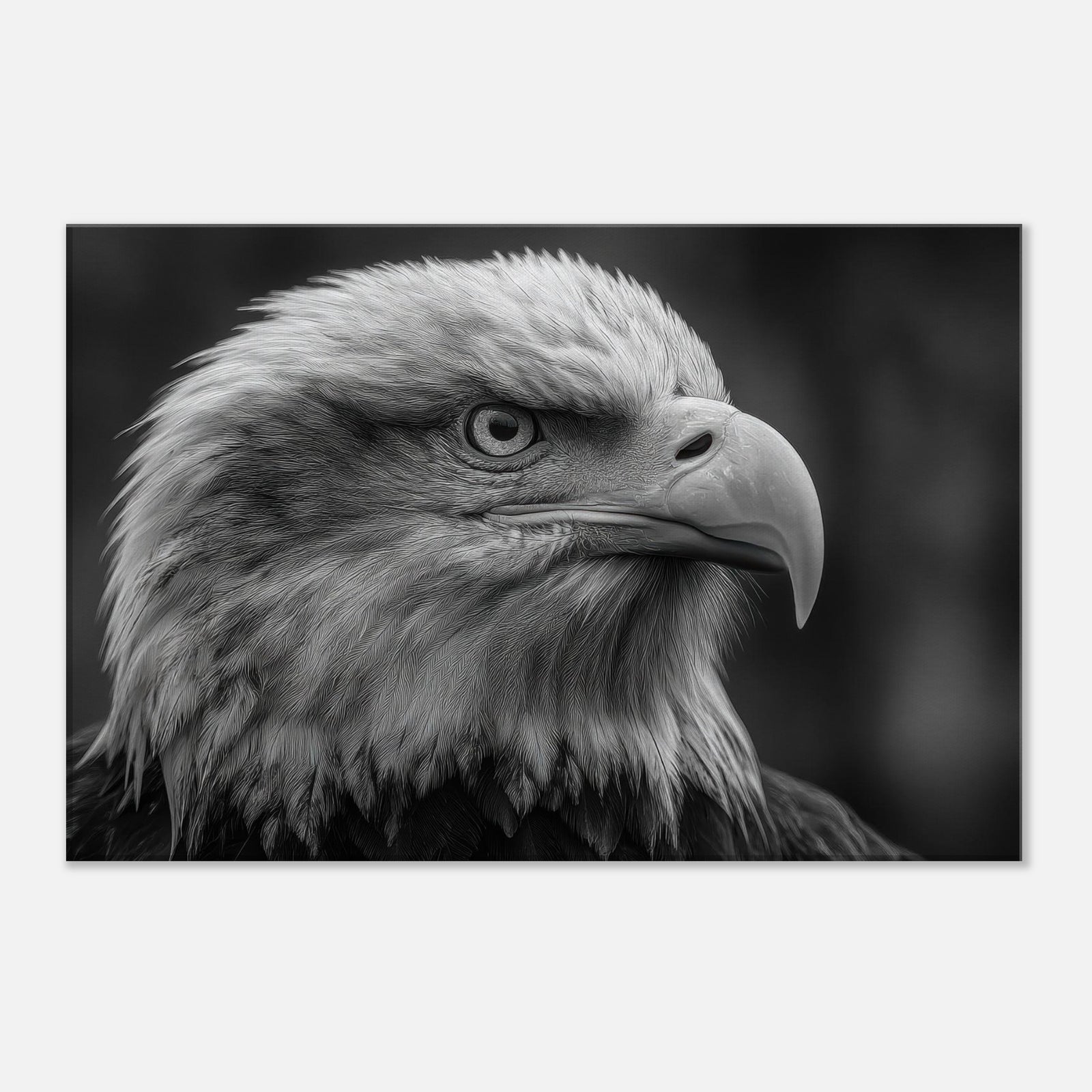 378062d6-c77b-4d0b-a730-53043d92c43d