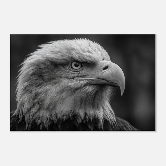 378062d6-c77b-4d0b-a730-53043d92c43d