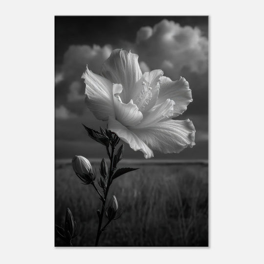 37cce96e-dbec-41ee-8df3-c403f0975185