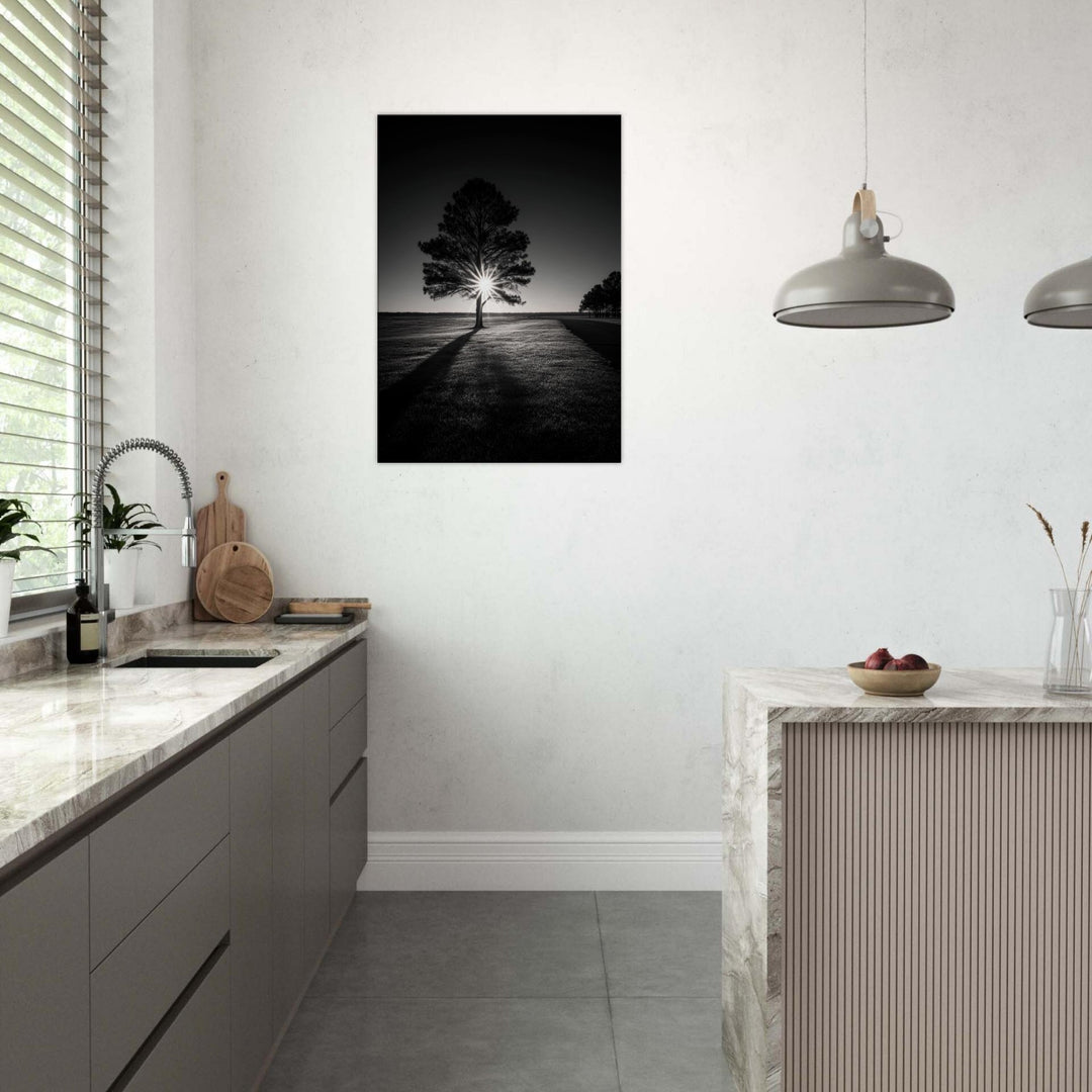 3869e707-1269-48a9-981c-4bda16fed0ad