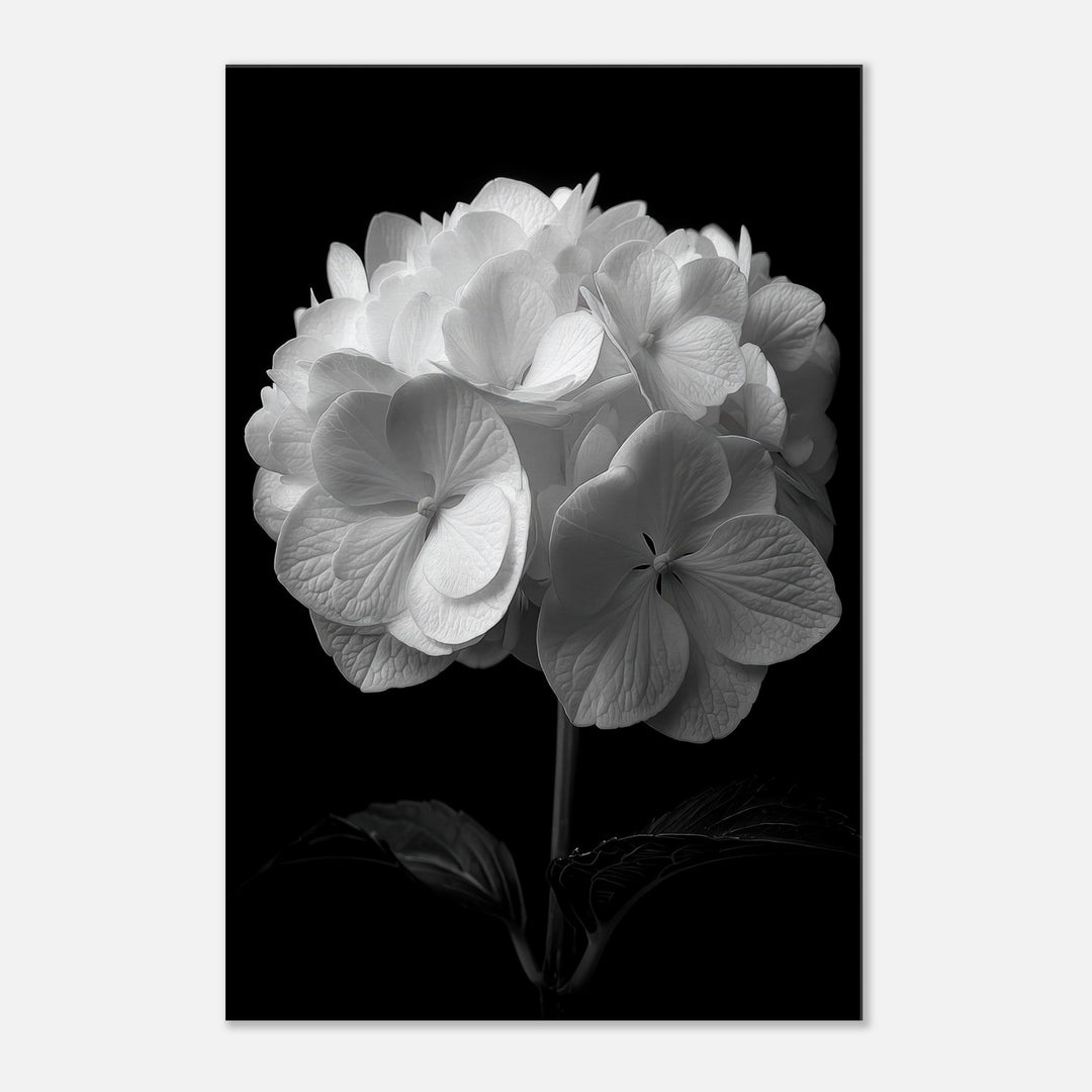 38db7e9b-d8c4-42fa-9c2a-3a76ad54fb9f