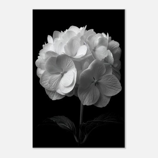 38db7e9b-d8c4-42fa-9c2a-3a76ad54fb9f