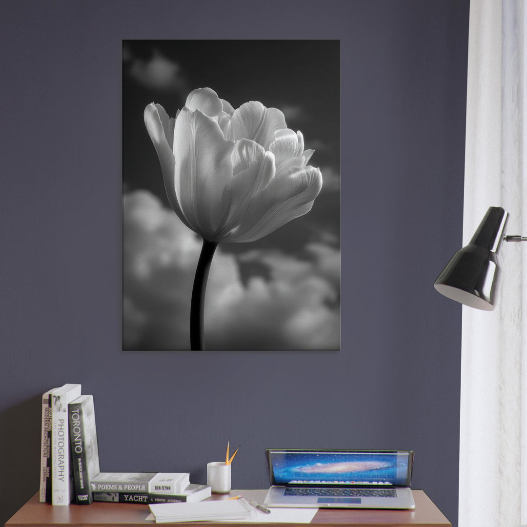 38edab26-566a-4efb-8620-10fe40400131