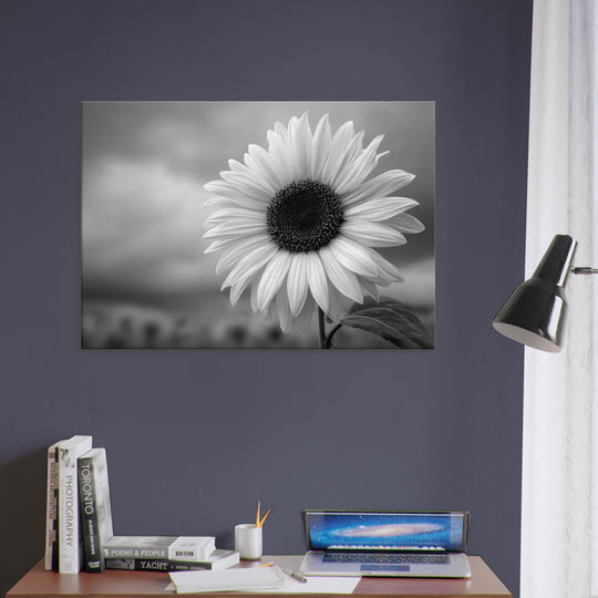 3905b001-14a3-4dce-a33f-088cac70f410